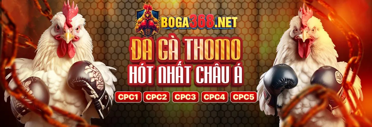 Sân chơi đá gà trực tuyến 911win nổ hũ